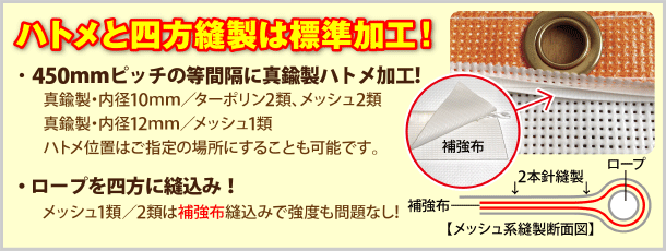 �n�g���Ǝl���D���͕W�����H