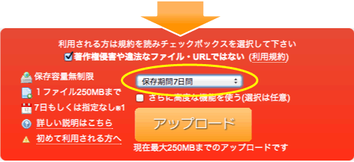 �t�@�C���[�X�g���[�W�菇2