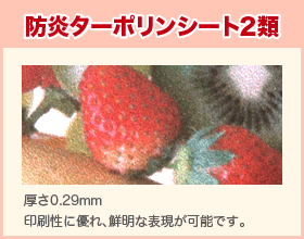 �h���^�[�|�����V�[�g�i���j