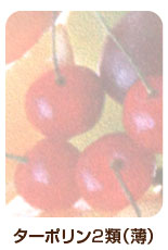 防炎ターポリン2類(薄)