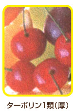 �h���^�[�|����1�ށi���j