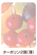 防炎ターポリン2類(薄)