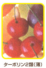 防炎ターポリン2類(薄)