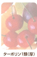 �h���^�[�|����1�ށi���j